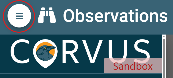 Screenshot of menu icon