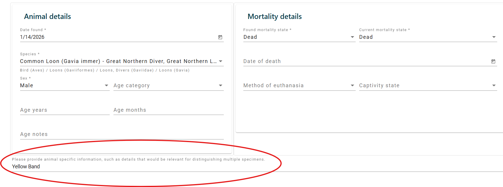 Screenshot of animal details form
